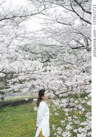 櫻花和一個年輕女子 135623713