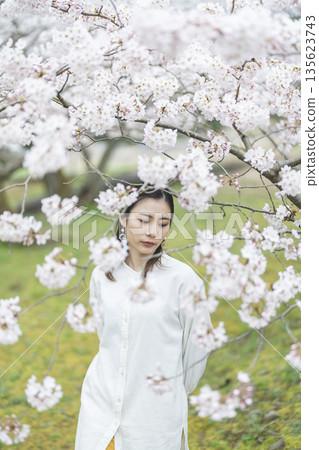 Cherry blossoms and a young woman Cherry blossoms and a young woman 135623743
