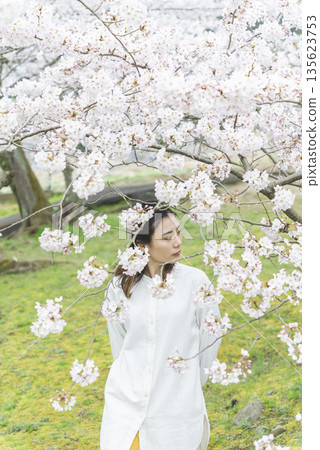 Cherry blossoms and a young woman 135623753