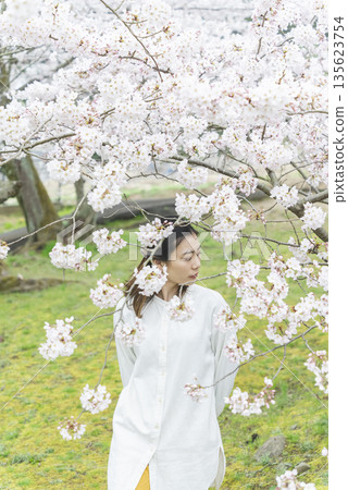 Cherry blossoms and a young woman 135623754