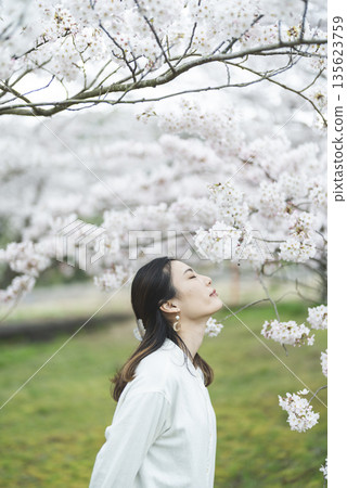 櫻花和一個年輕女子 櫻花和一個年輕女子 135623759