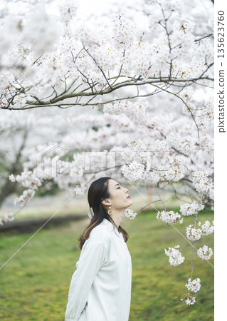 櫻花和一個年輕女子 櫻花和一個年輕女子 135623760