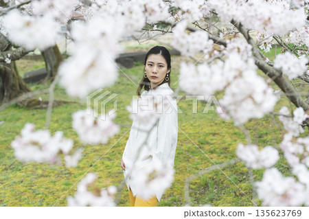櫻花和一個年輕女子 135623769