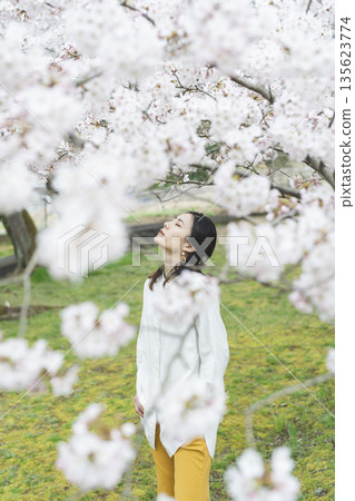 Cherry blossoms and a young woman Cherry blossoms and a young woman 135623774