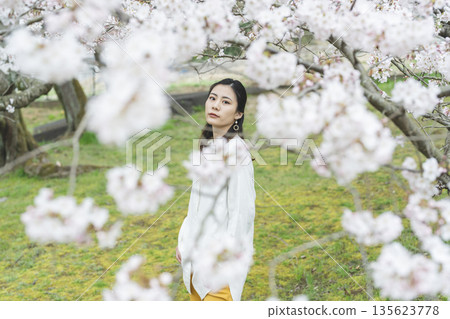 櫻花和一個年輕女子 135623778