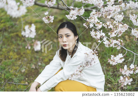 Cherry blossoms and a young woman 135623802