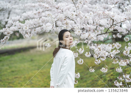 背景中,一位面帶微笑的年輕女子正欣賞著盛開的櫻花。 背景中,一位面帶微笑的年輕女子正欣賞著盛開的櫻花。 135623846