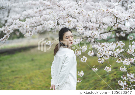 背景中,一位面帶微笑的年輕女子正欣賞著盛開的櫻花。 背景中,一位面帶微笑的年輕女子正欣賞著盛開的櫻花。 135623847