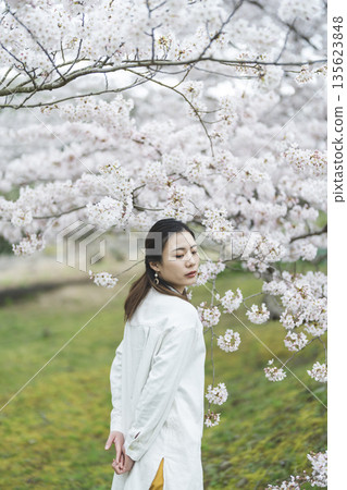 背景中,一位面帶微笑的年輕女子正欣賞著盛開的櫻花。 背景中,一位面帶微笑的年輕女子正欣賞著盛開的櫻花。 135623848