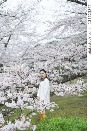 Cherry blossoms and a young woman Cherry blossoms and a young woman 135623863