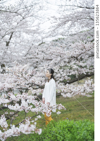 Cherry blossoms and a young woman Cherry blossoms and a young woman 135623864