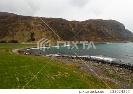 Peaceful coastal scenery in Norway showing sea, mountains, and natural shoreline. 135624233