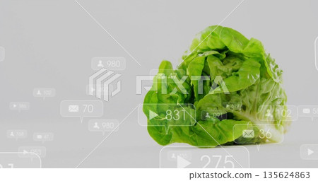Showing green head of lettuce resting on white tabletop, with floating digital social metric icons Showing green head of lettuce resting on white tabletop, with floating digital social metric icons 135624863