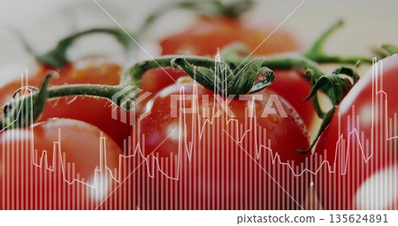 Showing ripe red tomato cluster hanging on vine on counter, with water droplets, data graph overlay Showing ripe red tomato cluster hanging on vine on counter, with water droplets, data graph overlay 135624891