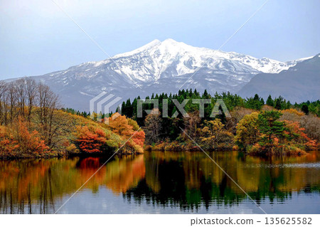 秋日的鳥海山,秋葉倒映在湖上。 秋日的鳥海山,秋葉倒映在湖上。 135625582