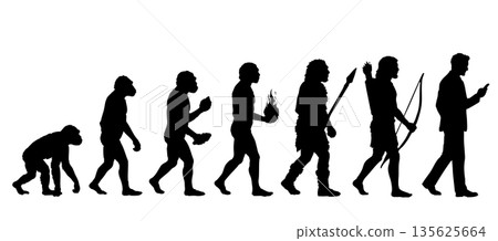人類進化、猿類、人類過渡輪廓插圖集 135625664