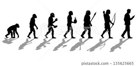 Human evolution, ape, human transition silhouette illustration set 135625665