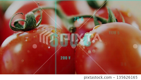 Highlighting red tomatoes showing water droplets on green stems in studio, with numeric overlay Highlighting red tomatoes showing water droplets on green stems in studio, with numeric overlay 135626165