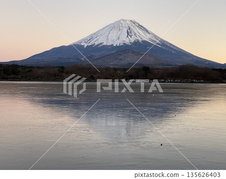 夕陽西下，粉紅色的天空映襯著落日餘暉，映照著湖面上倒映著白雪皚皚的富士山。 135626403
