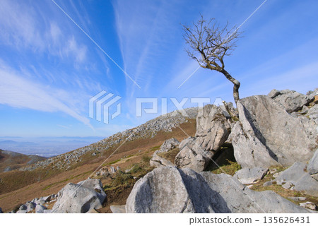 滋賀縣的禮仙山，靠近卡倫費爾特河蔓延的山頂 135626431