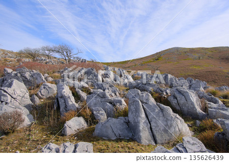 滋賀縣的禮仙山、卡倫費爾德山和京塚山 135626439