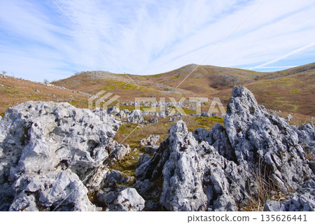 滋賀縣的禮仙山、卡倫費爾德山和京塚山 135626441