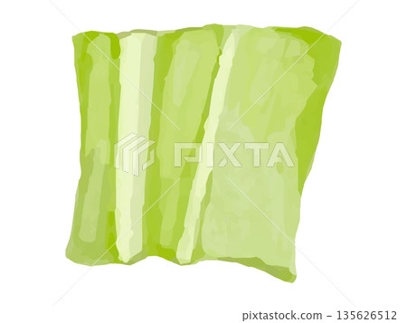 Illustration of a single piece of chopped cabbage Illustration of a single piece of chopped cabbage 135626512