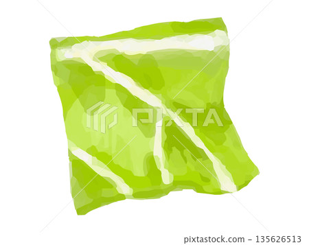 Illustration of a slice of chopped cabbage Illustration of a slice of chopped cabbage 135626513