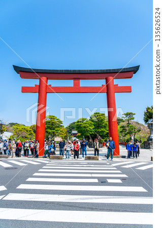 【神奈川縣】鎌倉鶴岡八幡宮擠滿了遊客 135626524