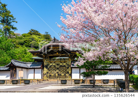 【神奈川縣】鎌倉建長寺櫻花盛開,美不勝收 【神奈川縣】鎌倉建長寺櫻花盛開,美不勝收 135626544