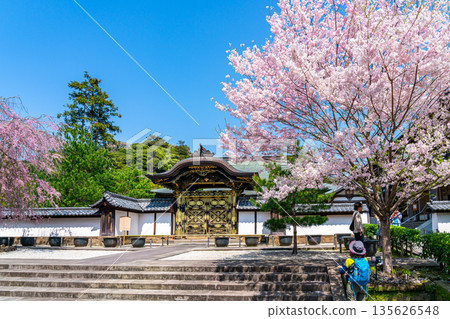 【神奈川縣】鎌倉建長寺櫻花盛開,美不勝收 【神奈川縣】鎌倉建長寺櫻花盛開,美不勝收 135626548