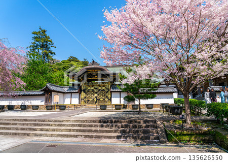 [Kanagawa Prefecture] Beautiful cherry blossoms blooming at Kenchoji Temple in Kamakura 135626550