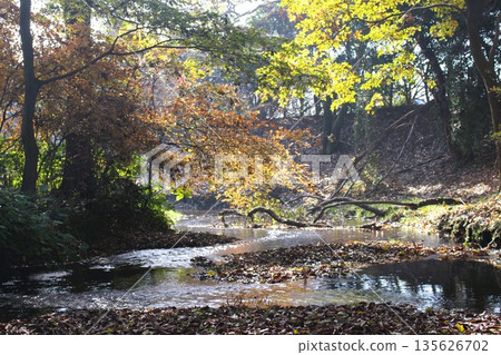 Isokawa Green Park Isokawa Green Park 135626702