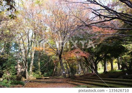 磯川綠園 135626710