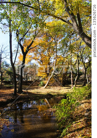 磯川綠園 磯川綠園 135626716