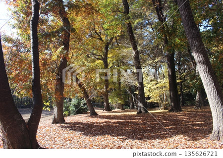 磯川綠園 磯川綠園 135626721