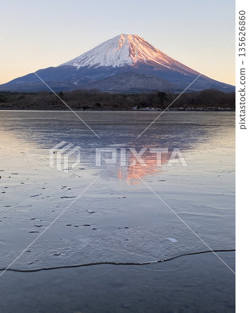 在冬日微弱的陽光下，落日的餘暉為富士山染上了一層淡淡的色彩，它的倒影映照在冰封的障子湖面上。 135626860