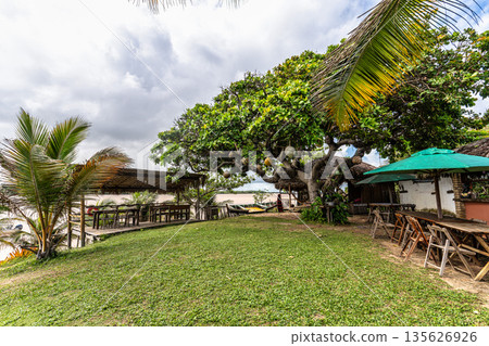 Typical Jungle lodge located at Ilha das Canarias, Brazil. Delta do Parnaiba and Delta das Americas. Typical Jungle lodge located at Ilha das Canarias, Brazil. Delta do Parnaiba and Delta das Americas. 135626926