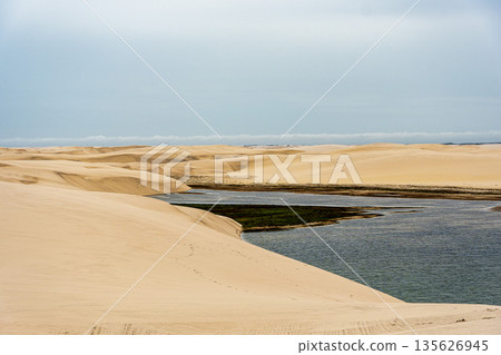 Dunes and lagoons of Atins, Lencois Maranhenses, Barreirinhas, Brazil. White sand dunes with pools of fresh water Dunes and lagoons of Atins, Lencois Maranhenses, Barreirinhas, Brazil. White sand dunes with pools of fresh water 135626945