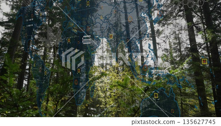 Spanning world map overlay hovering over evergreen forest, with hexagonal grid cells and data nodes Spanning world map overlay hovering over evergreen forest, with hexagonal grid cells and data nodes 135627745