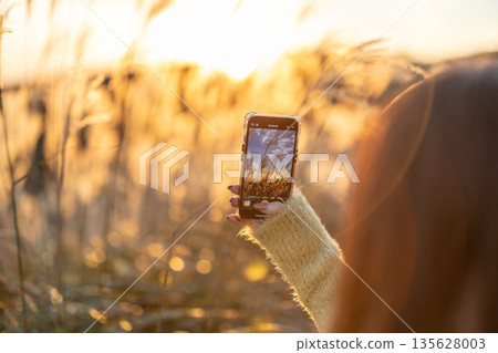 Sunset at Oishi Plateau 135628003