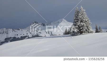 Snow covered mountains Gifer and Lauenehore, winter landscape near Gstaad, Swiss Alps Snow covered mountains Gifer and Lauenehore, winter landscape near Gstaad, Swiss Alps 135628256