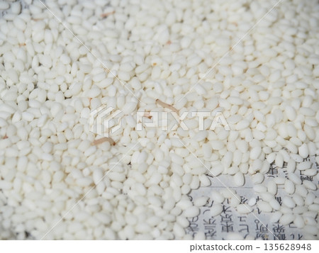 Larvae of the Indian meal moth found in rice Larvae of the Indian meal moth found in rice 135628948