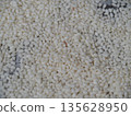 The larvae of the Indian meal moth flutter around when they become adults. 135628950