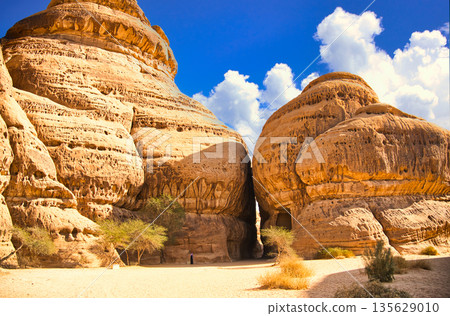 Spectacular views of the archaeological site of Mada'in Saleh 135629010