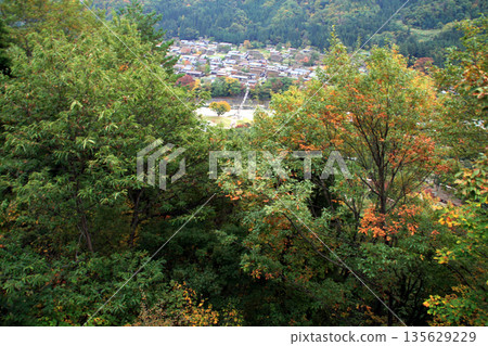 從白道入口附近眺望白川鄉的秋葉 135629229