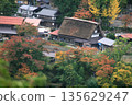 從白道入口附近眺望白川鄉的秋葉 135629247
