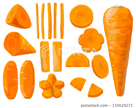 Illustration set of carrots cut in various ways Illustration set of carrots cut in various ways 135629271