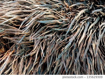 Fibrous Texture of Dry Oil Palm Empty Fruit Bunch Waste Material 135629309