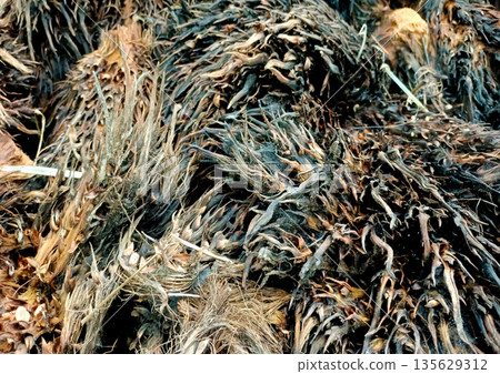 Rotting Oil Palm Empty Fruit Bunches Turning into Black Soil Humus 135629312